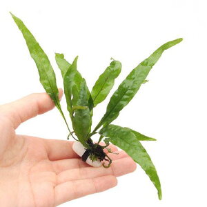 ijΕt@~N\E@vevX@i[i1j