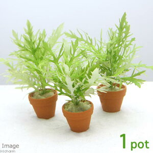 ijv`fĂ@EH[^[EBXeAitji_ji1j