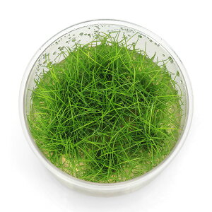 ijgD|{@wA[OXV[gi_ji1Jbvj@kCEBq֗vۉ