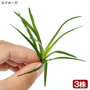 ijzVNTspDN`itji_ji3j