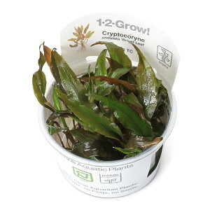 ijgD|{1|2|GROWI@NvgRl@Ef[^@u[h[t@gsJi_ji1Jbvj@kCEBq֗vۉ