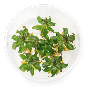 ijgD|{@hEBWA@Of[Ti_ji1Jbvj@kCEBq֗vۉ