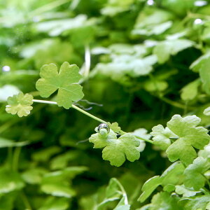 ijI[XgA@m`h@uYxYitji_ji20{j