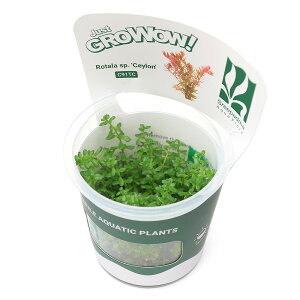 ijgD|{GROWOWI@^spDZCi_ji1Jbvj@kCEBq֗vۉ