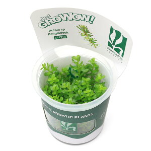 ijgD|{GROWOWI@^spDoOfBbVi_ji1Jbvj@kCEBq֗vۉ