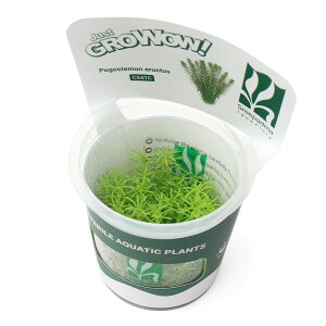 ijgD|{GROWOWI@|SXe@GN^Xi_ji1Jbvj@kCEBq֗vۉ