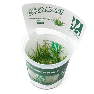 ijgD|{GROWOWI@GLmhX@elX@~Ni_ji1Jbvj@kCEBq֗vۉ