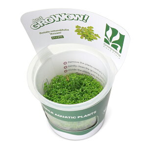 ijgD|{GROWOWI@^@gfBtHA@AbTi_ji1Jbvj@kCEBq֗vۉ