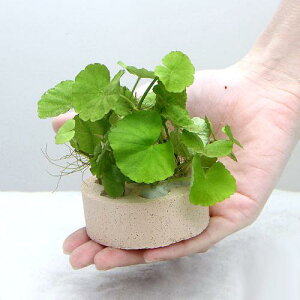 ijnjJVF^[@A}]`hOTitji_ji1j