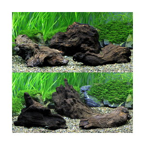 ɒށI@`󂨔C@STCY@i15cmj@3{