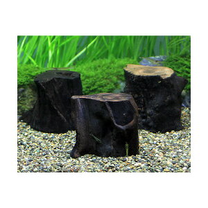 ɒށI@`󂨔C@؁@؂芔@STCYi5`10cmOji1{j