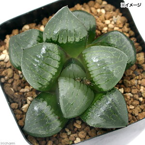 iAjnI`A@gsJiCg@2D5`3i1j