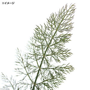 iϗtAjn[uc@tFl@uY@3i1|bgj@ƒ؉