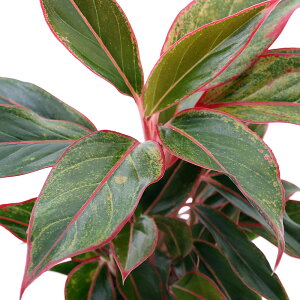 iϗtAjAOIl}@bhS[h@4i1j