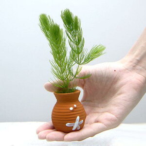 ij^Rc{~j~j@}ci_ji1j_J@@򉻁@Y