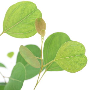 iϗtAj[J@||X@3`4i1|bgj@ƒ؉@I[W[vc