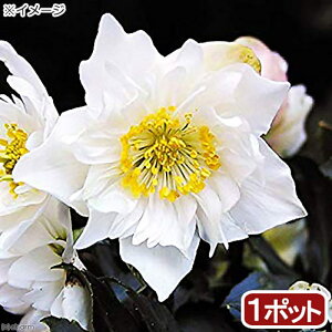 iϗtAjNX}X[Y@_ut@^W[@3i1|bgj