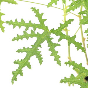 iϗtAjn[uc@[jE@AXy@3i1|bgj@ƒ؉