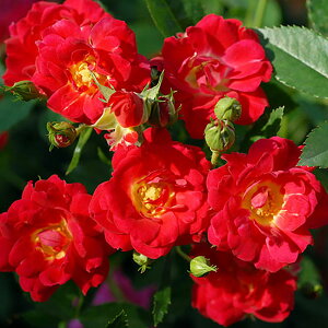 iϗtAjhtg[Y@bhhtg@4i1j@PVP