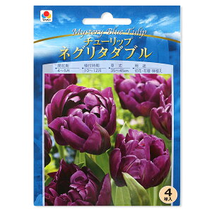 iϗtAj`[bv@F`[bv@lO^_u@4li1܁j