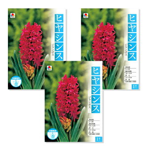 iϗtAjqVX@͔|pqVX@W{Xi3j