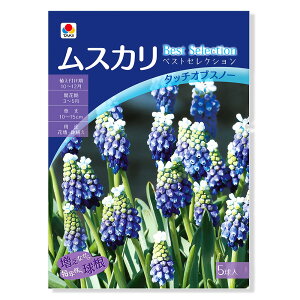 iϗtAj@XJ@xXgZNV@^b`IuXm[i1܁j