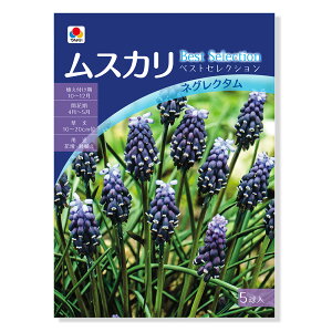 iϗtAj@XJ@xXgZNV@lON^i1܁j