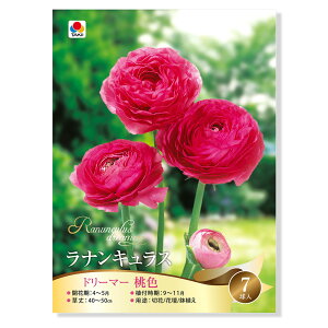 iϗtAj@iLX@h[}[@F@7li1܁j