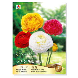 iϗtAj@iLX@h[}[@@7li1܁j