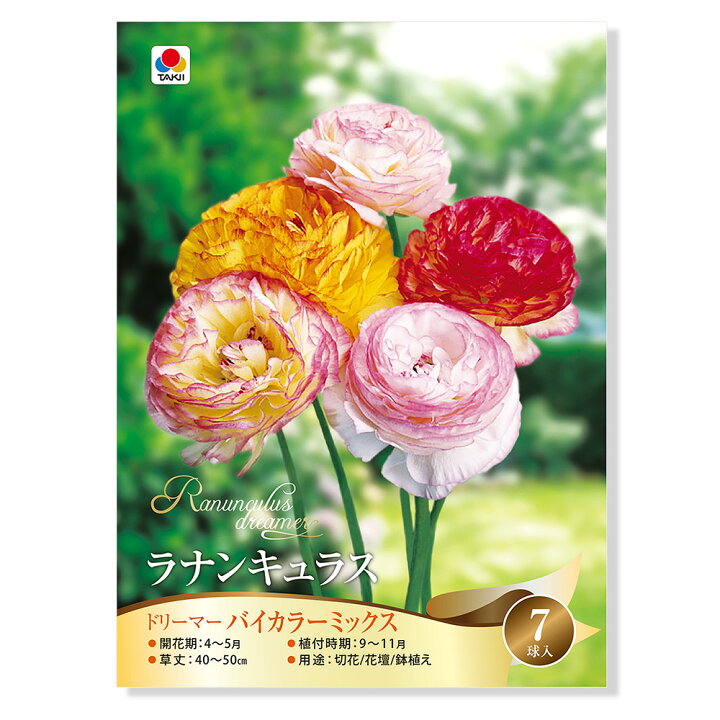 ラナンキュラス 球根 不思議な色の珍しい花 信頼できる売り手 観葉植物 バルブオブザイヤー 5球根 E 高級感 ラナンキュラス 球根 不思議な色の珍しい花 信頼できる売り手 観葉植物 バルブオブザイヤー 5球根 E 高級感