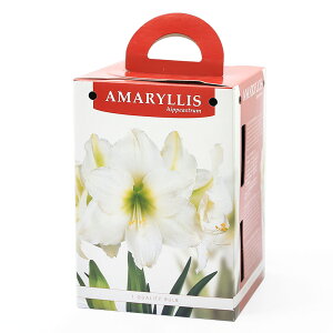 iϗtAjA}X|bgA@d炫A}X@i1Zbgj