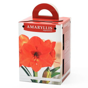 iϗtAjA}X|bgA@d炫A}X@i1Zbgj