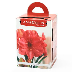 iϗtAjA}X|bgA@d炫A}X@i1Zbgj