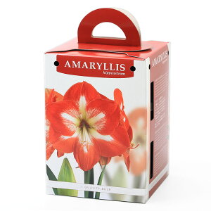 iϗtAjA}X|bgA@d炫A}X@Ԕi1Zbgj