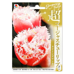 iϗtAj@`[bv@S[WX`[bv@NC[Yh@2li1܁j