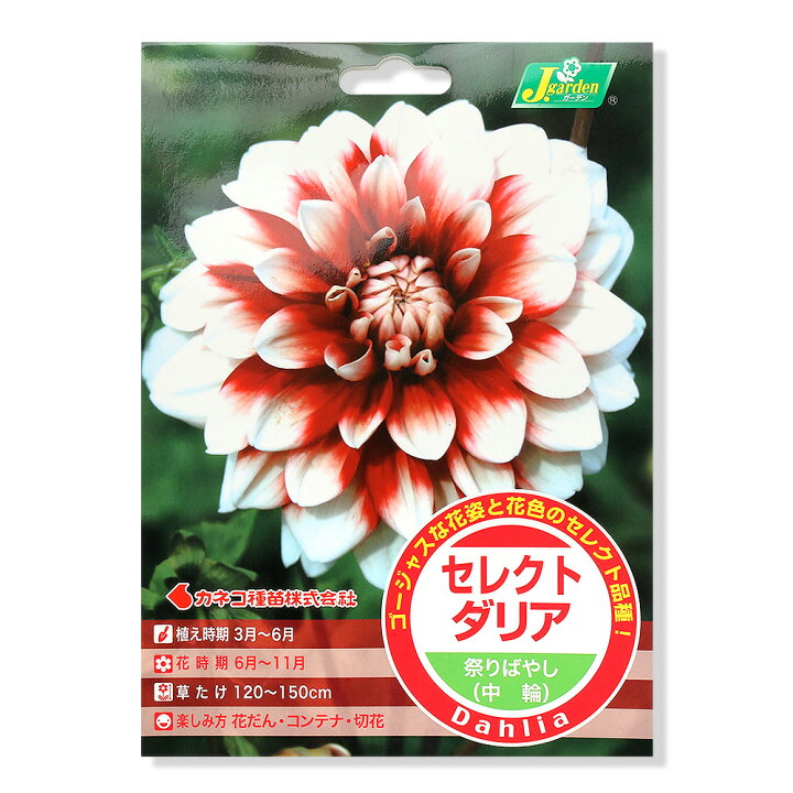 割引購入 観葉植物 ユリ球根 カメレオン １球詰 １袋 Riosmauricio Com