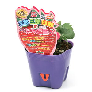 iϗtAjؕc@C`Sc@YOYlŶc@̂@3D5i1|bgj@ʕ@t[c