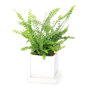 iϗtAj^}V_@_btB[@픫A@_CXSi1j@Mt@Z~X@A@@@v[g