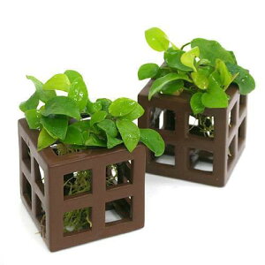 ij̉BƁ@AkrAXii@S[f@ړIVF^[Mitji1j