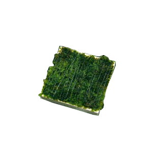 ijā@ăEB[X@^Citji_ji1j