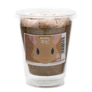 楽天市場 観葉植物 種まき済み キビ栽培 ｅｃｏポット １ポット Charm 楽天市場店