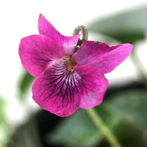 iR쑐jX~i俁jnclX~i俁j2D5`3@i1|bgjixԁj