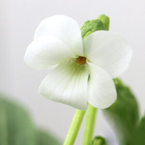 iR쑐jX~i俁jX~@incLj2D5`3i1|bgjixԁj