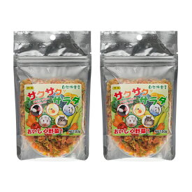 黒瀬ペットフード　自然派宣言　サクサクサラダ　50g×2袋【HLS_DU】　関東当日便