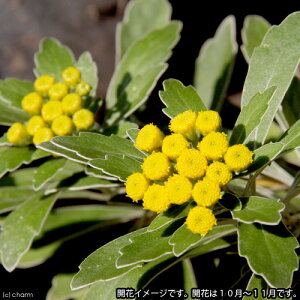 iR쑐jC\MNiej@3i10|bgjixԁj