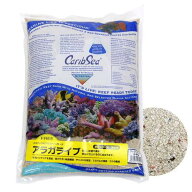 カミハタ　カリブシー　アラガライブ　フィジーピンク　ライブサンド　10lbs（約4．5kg）　関東当日便