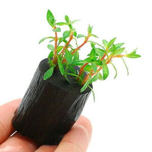 ijj[h[t@hEBWAitjO|bgti_ji1j