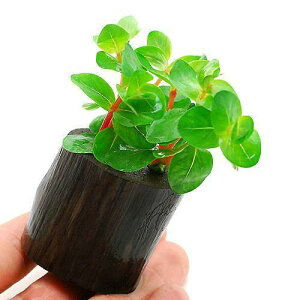 ij^@CfBJitjO|bgti_ji1j