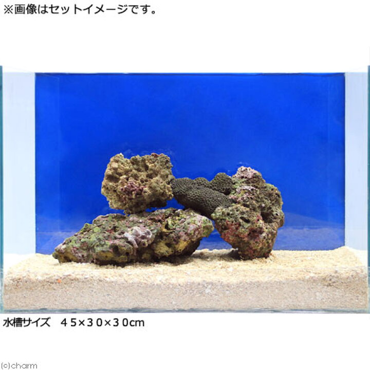 楽天市場 海水魚 ｂグレードライブロック ３０ｃｍキューブ水槽セット １セット 形状お任せ 北海道 九州航空便要保温 Charm 楽天市場店