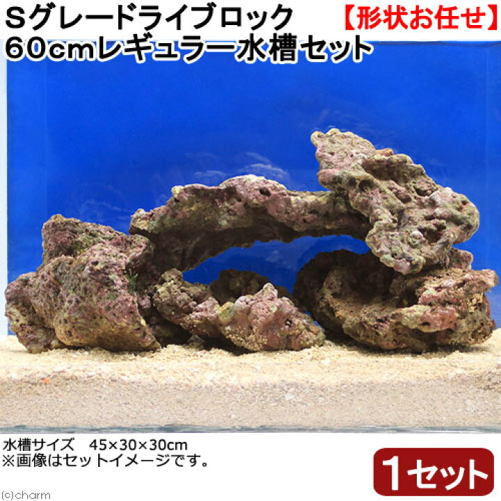 1845円 おトク 海水魚 ライブロック ３０ｃｍ水槽用アーチセット 形状お任せ